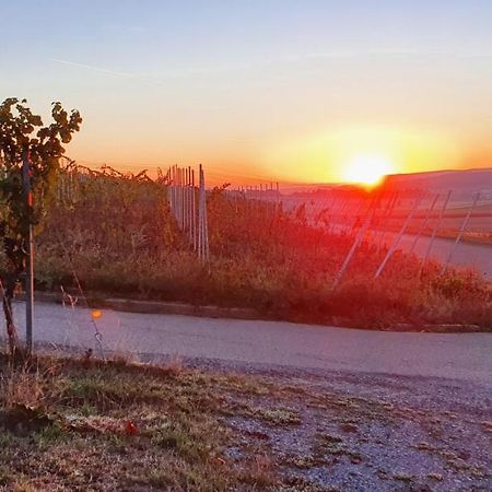 Weingut Will Und Wuerz Lemberger Apartment Schwaigern Екстериор снимка