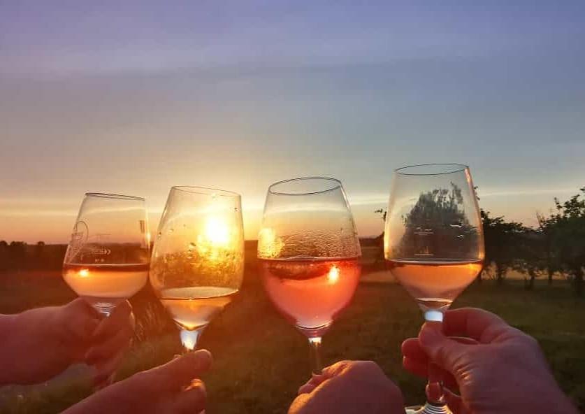 Weingut Will Und Wuerz Lemberger Apartment Schwaigern Екстериор снимка