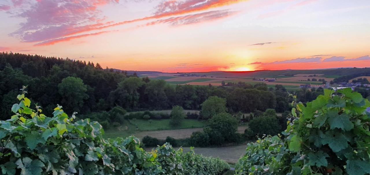 Weingut Will Und Wuerz Lemberger Apartment Schwaigern Екстериор снимка