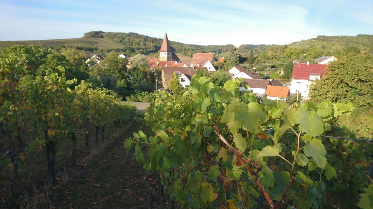 Weingut Will Und Wuerz Lemberger Apartment Schwaigern Екстериор снимка